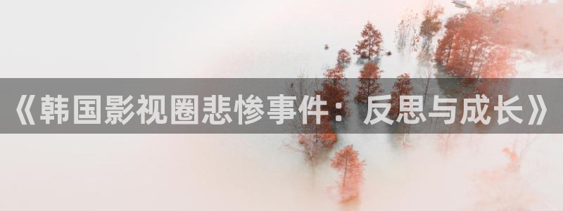 私人影院放什么电影：《韩国影视圈悲惨事件：反思与成长》