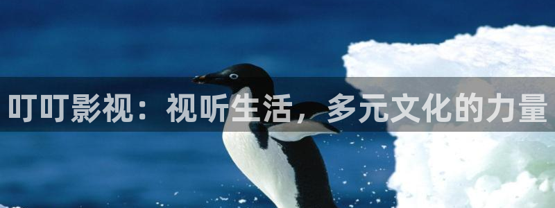 中高端私人影院定制：叮叮影视：视听生活，多元文化的力量