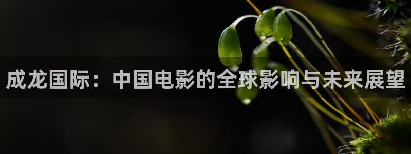 私人影院加盟排行：成龙国际：中国电影的全球影响与未来展望