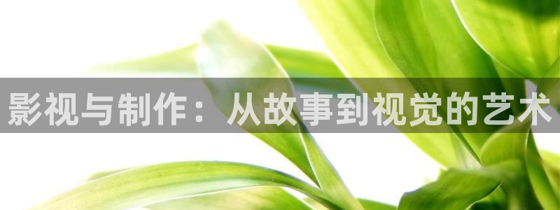 午夜私人影院在线播放：影视与制作：从故事到视觉的艺术