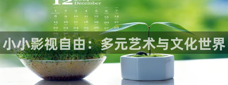 私人影院一私人影视一私人电影网：小小影视自由：多元艺术与文化世界