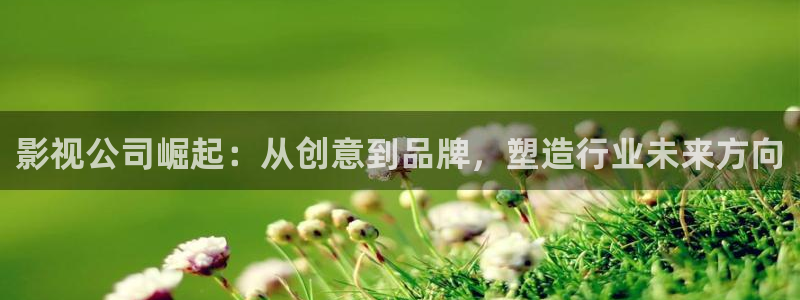 私人影院观看：影视公司崛起：从创意到品牌，塑造行业未来方向