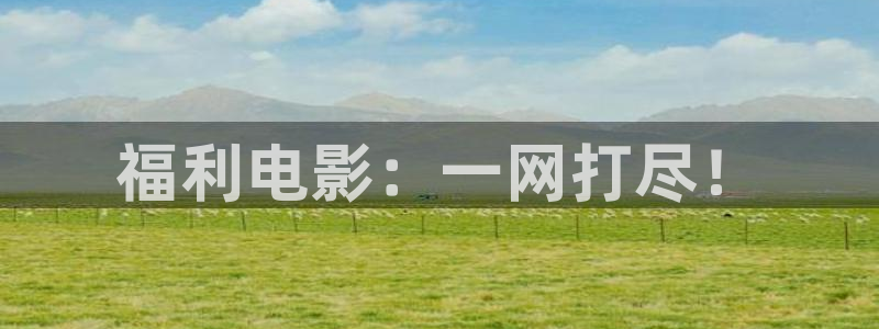 男人天堂私人影院：福利电影：一网打尽！